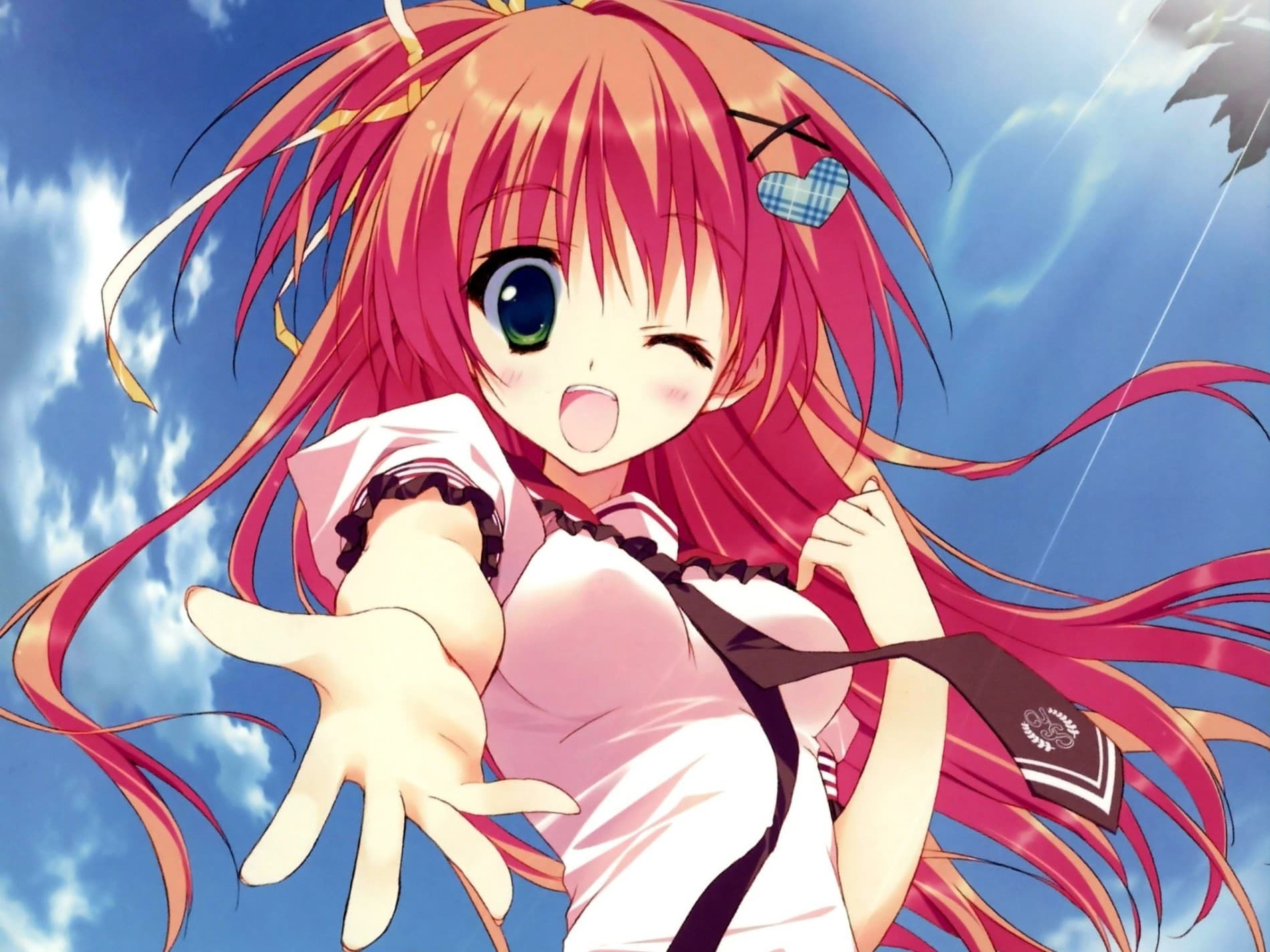 A Bridge to the Starry Skies