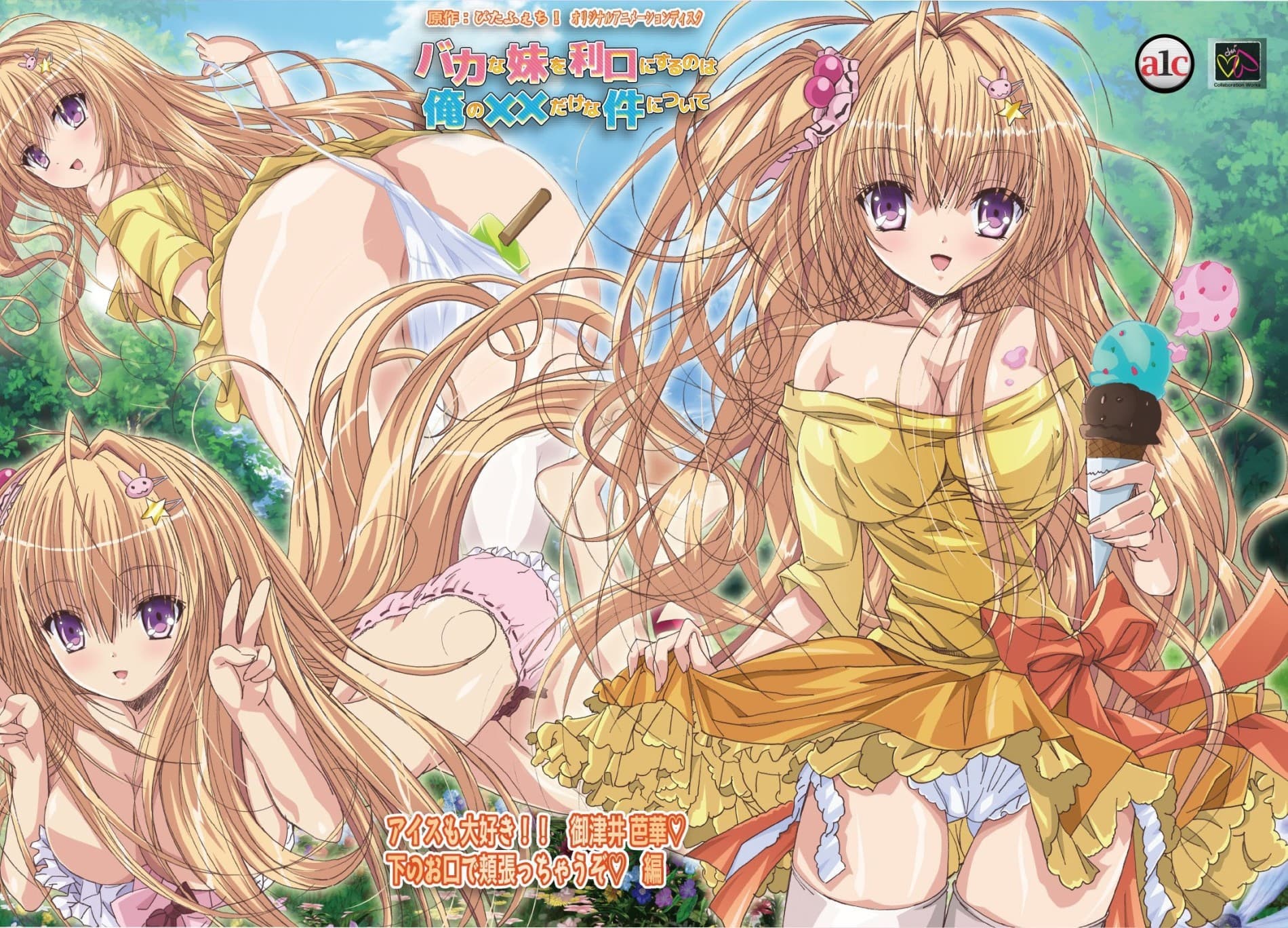 Baka na Imouto wo Rikou ni Suru no wa Ore no xx dake na Ken ni Tsuite