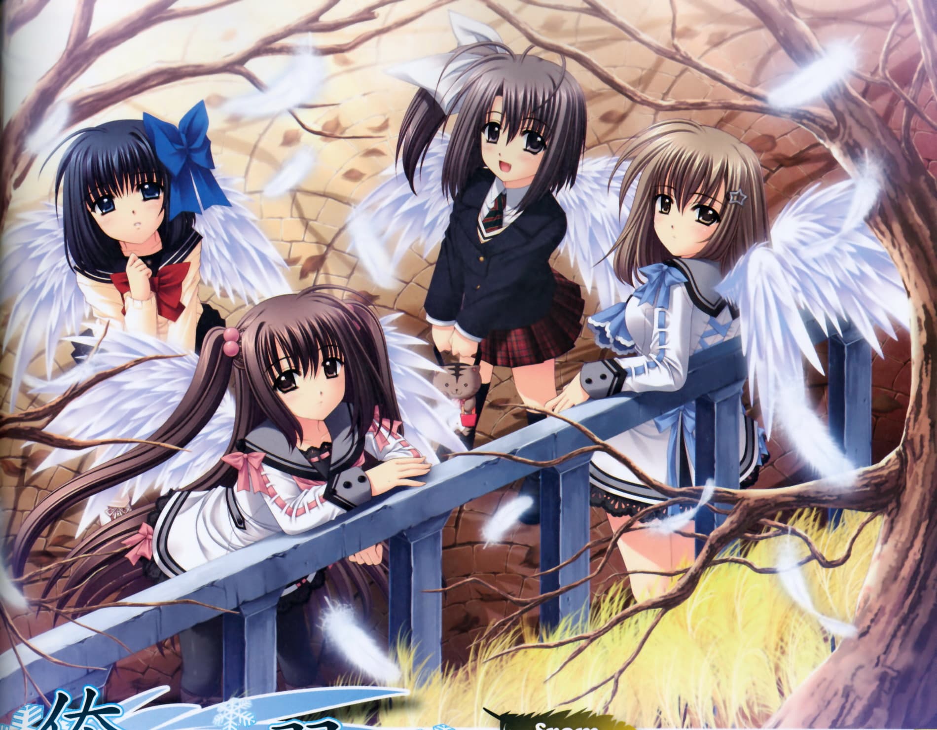 We Without Wings – Under the Innocent Sky