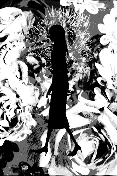 The sun and moon of youth