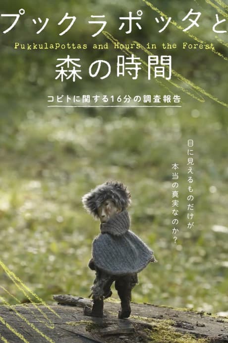 Pukkulapottas and Hours in the Forest