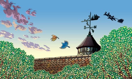 Heart Cocktail Colorful: Fuyu-hen