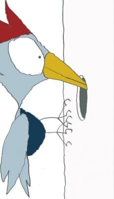 Kitsutsuki: the ten hole stories