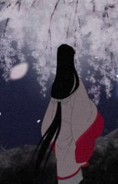 Shadow of the Cherry Blossoms