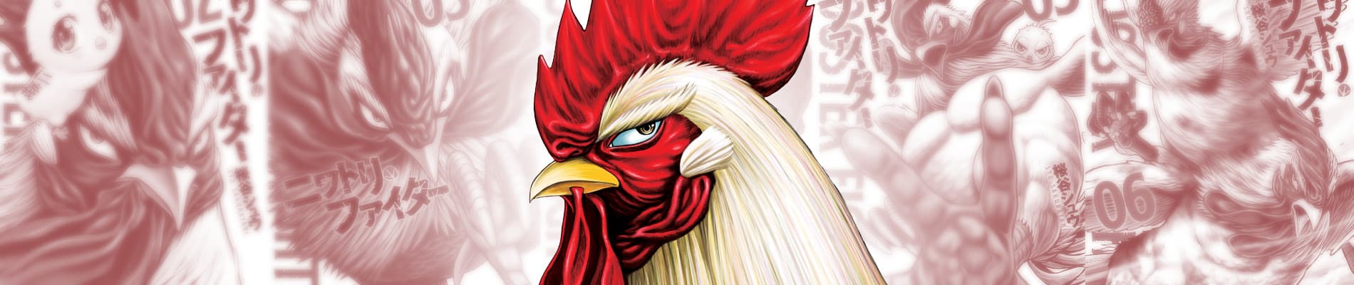 Rooster Fighter