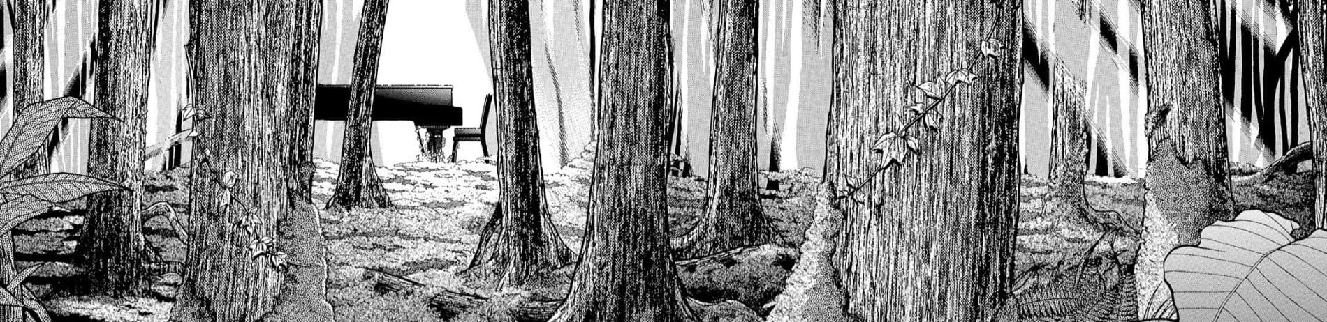 Forest of Piano