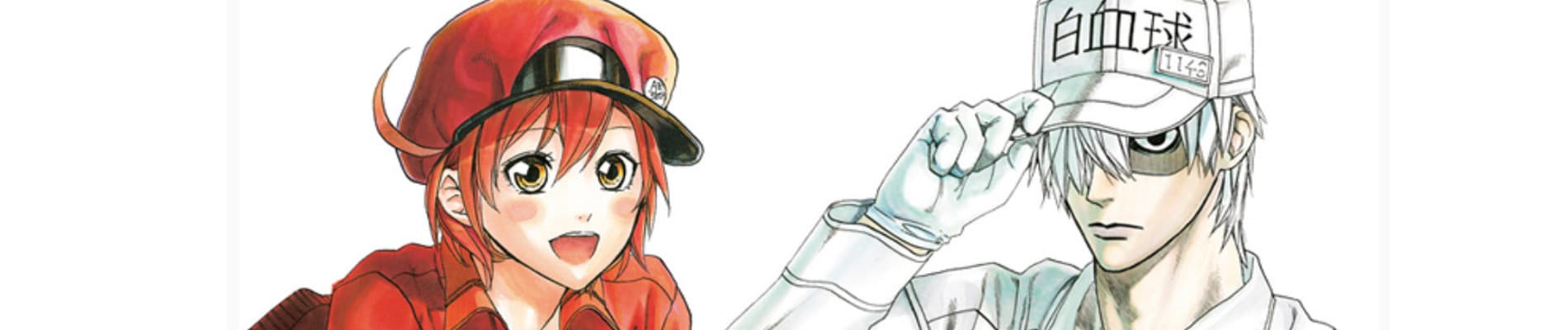 Cells at Work!