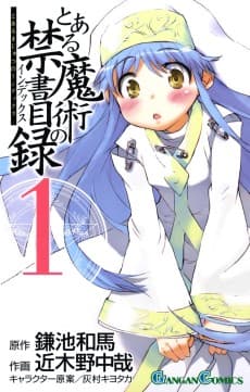 A Certain Magical Index