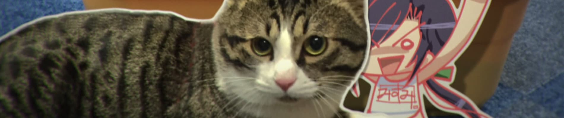 My Wife is the Student Council President: Wife Theater